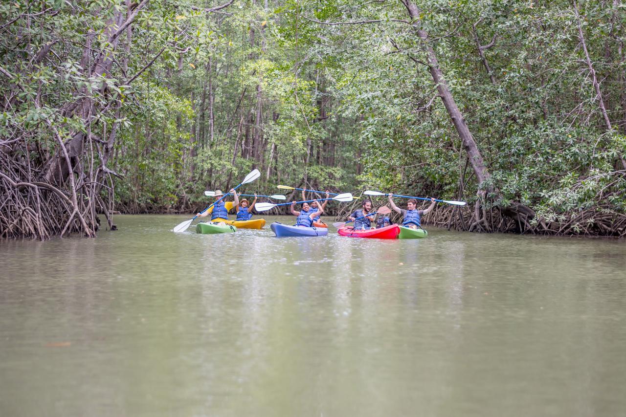 Kayak Lodge Damas Luaran gambar
