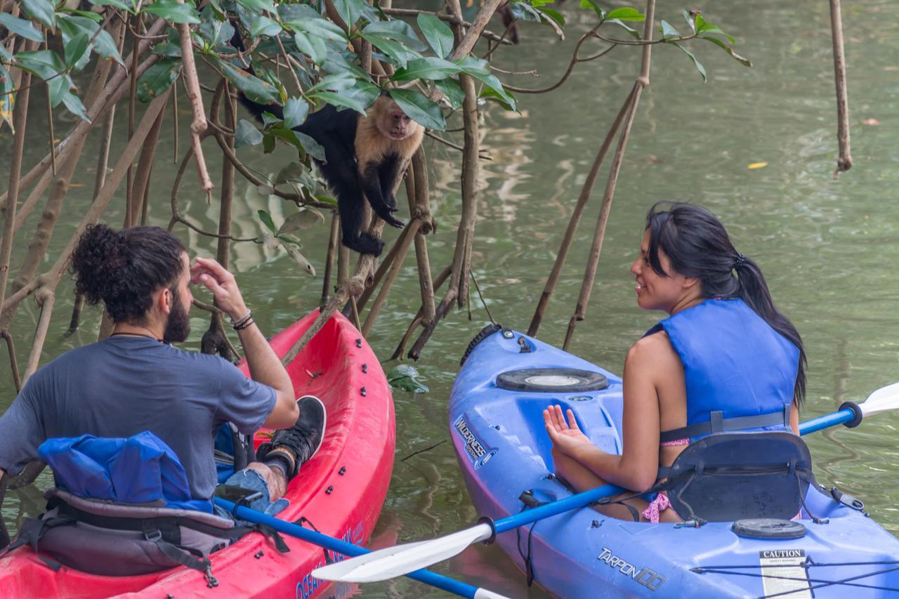 Kayak Lodge Damas Luaran gambar