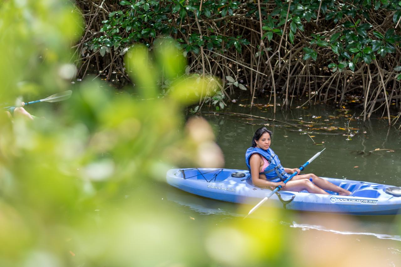 Kayak Lodge Damas Luaran gambar
